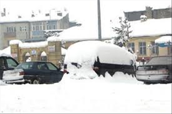 Ardahan´da soğuk hava ve sis etkili oldu