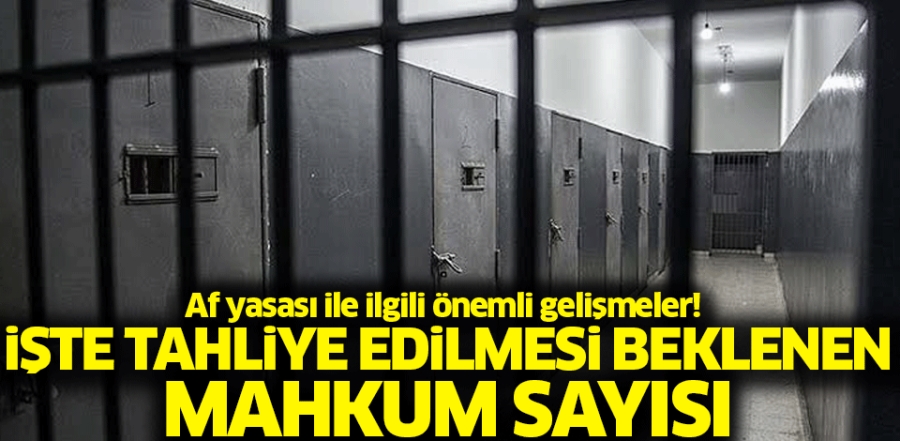Af yasası ile ilgili önemli gelişmeler! İşte tahliye edilmesi beklenen mahkum sayısı