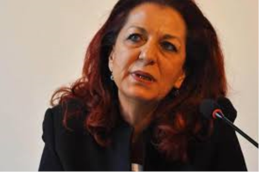 Ülkü Doğanay; Yeni siyaset: Demokrasi 