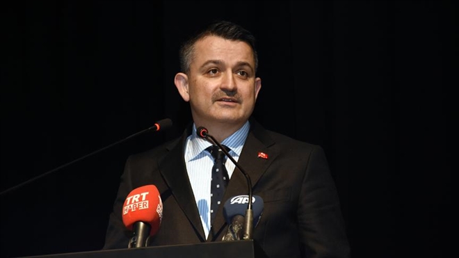 Bakan Pakdemirli: 2022 yılında hayvan ihraç eden ülke sınıfına gireceğiz