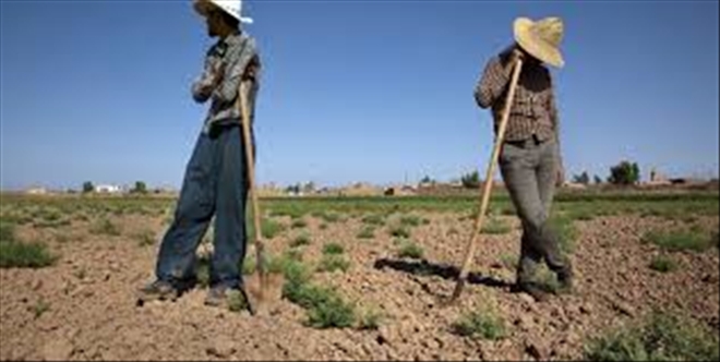 İran´ın Sistan ve Beluçistan eyaletinde su sorunu