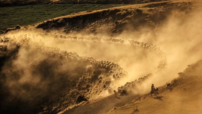 Nemrut Dağı´na tozlu yolculuk...