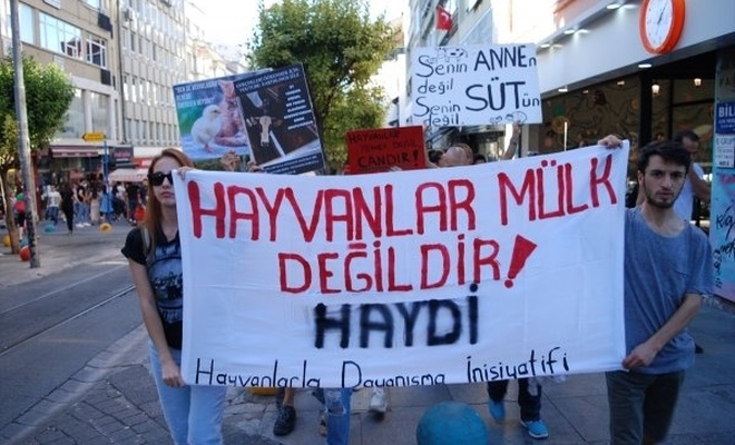 Hayvanseverlerin(!) Hedefi Gerçekte Ne?