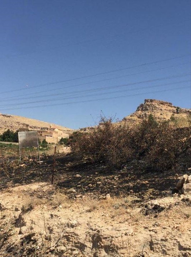 Önce manastır zeytinlikleri sonra üzüm bağları... Mardin ve Şırnak´taki Süryani köylerinde peş peşe yangınlar neden çıktı?