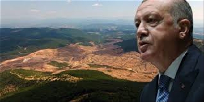 Erdoğan´dan kurmaylarına Kaz Dağları talimatı