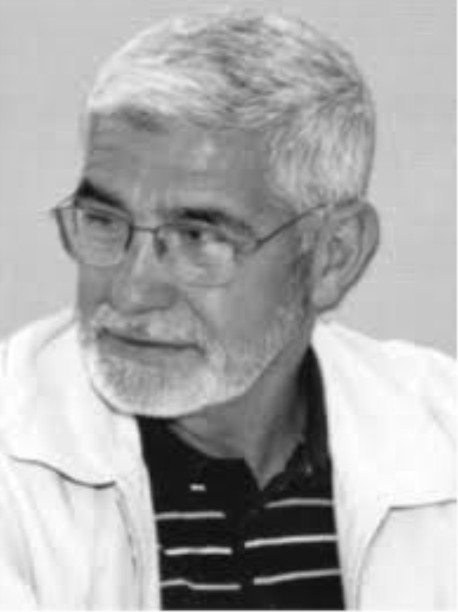 SİYASAL İSLAM ÜZERİNE