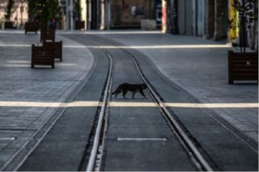 Bilim Kurulu Üyesi normale dönülecek tarihi açıkladı