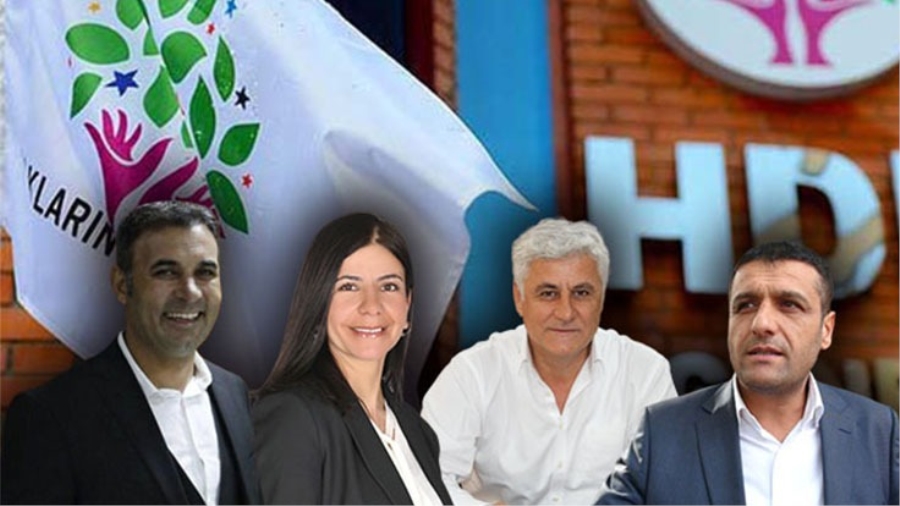  HDP