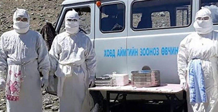 DSÖ açıkladı! 24 saat içinde öldüren bubonik veba salgın riski taşıyor mu?