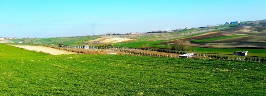 Arnavutköy Ranta Teslim, İstanbul’da Tarım ve Hayvancılık Sürgün