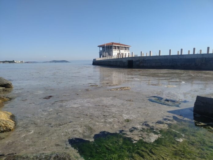 “Marmara Denizi’ndeki müsilajın bir sebebi de pandemi olabilir