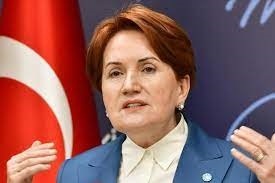 Aytunç Erkin: Akşener