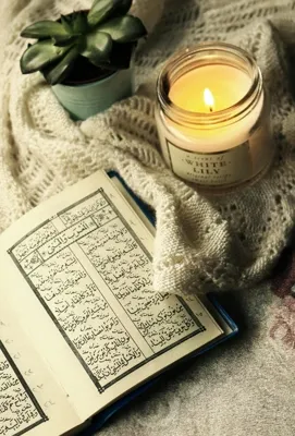 Bir Kitabın Değerlendirilmesine Dair Notlar