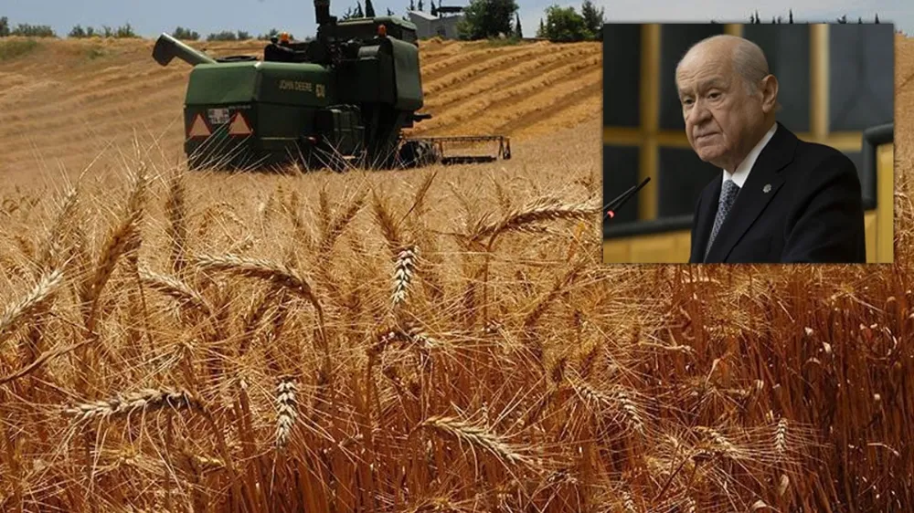 Ziraat Mühendisleri Odası Bahçeli’nin ‘Askıda Buğday’ kampanyasını yorumladı