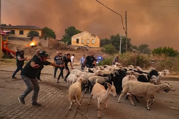 İzmir yangınları belli noktalara sıkıştırıldı, Ödemiş’teki yangına havadan müdahale yeniden başladı