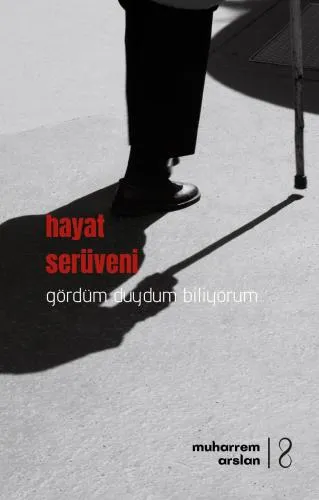 VHAYAT SERÜVENİ ADLI ROMAN YAYINLANDI