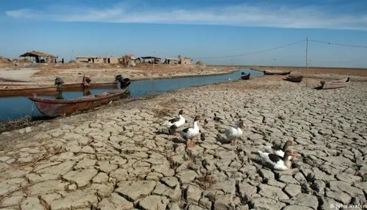 Yeşil Irak Gözlemevi: Türkiye, Irak